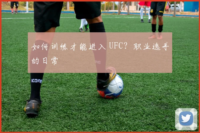 如何训练才能进入 UFC？职业选手的日常