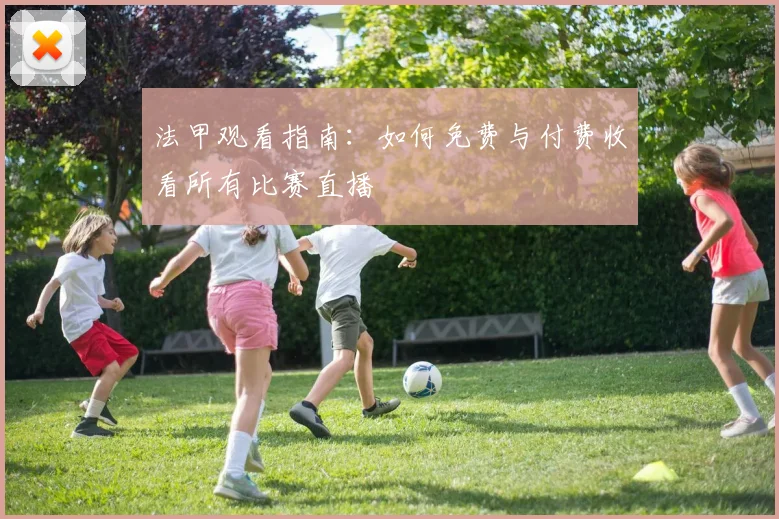 法甲观看指南：如何免费与付费收看所有比赛直播