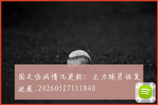 国足伤病情况更新：主力球员恢复进展_20260527111840